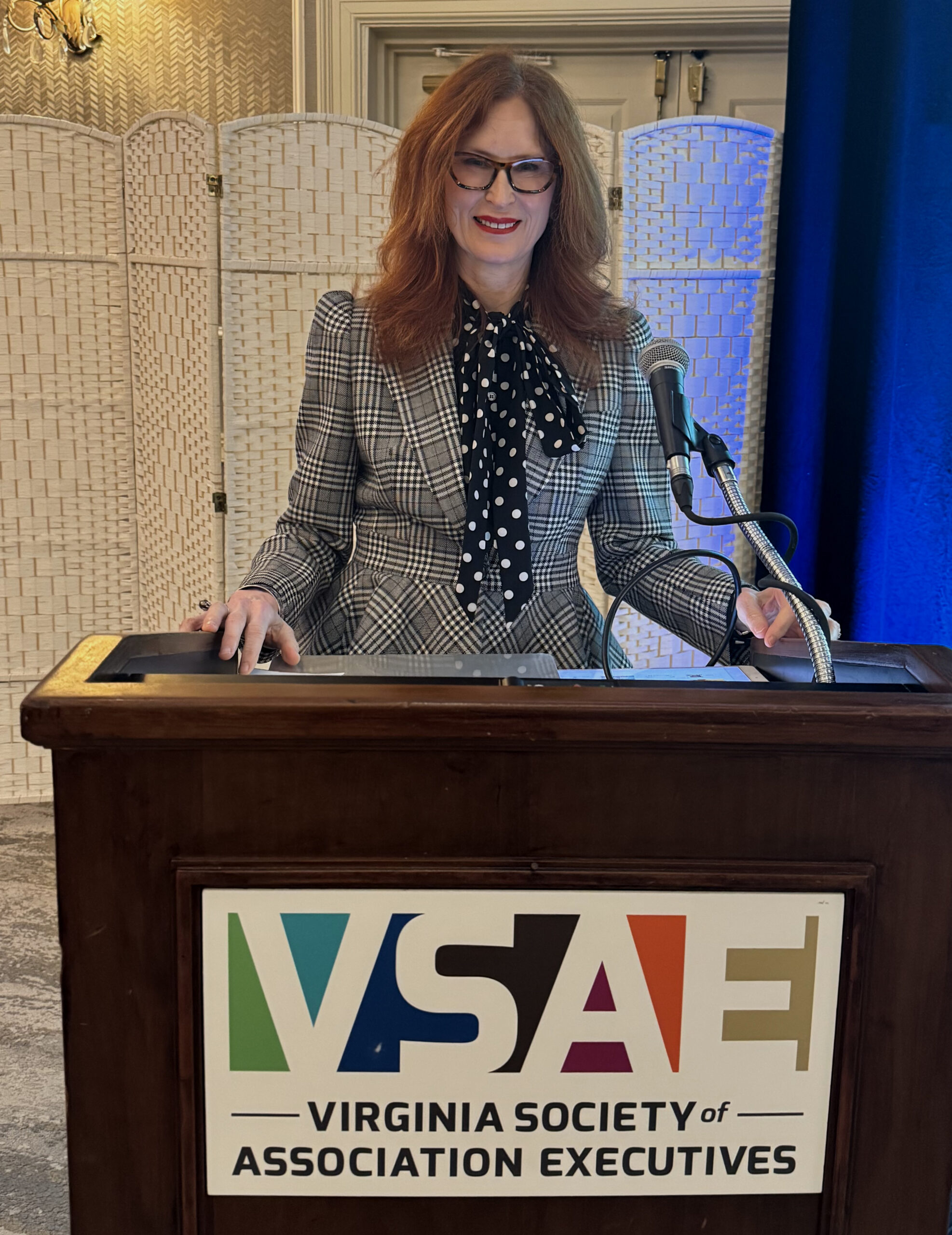 VSAE Conference talk